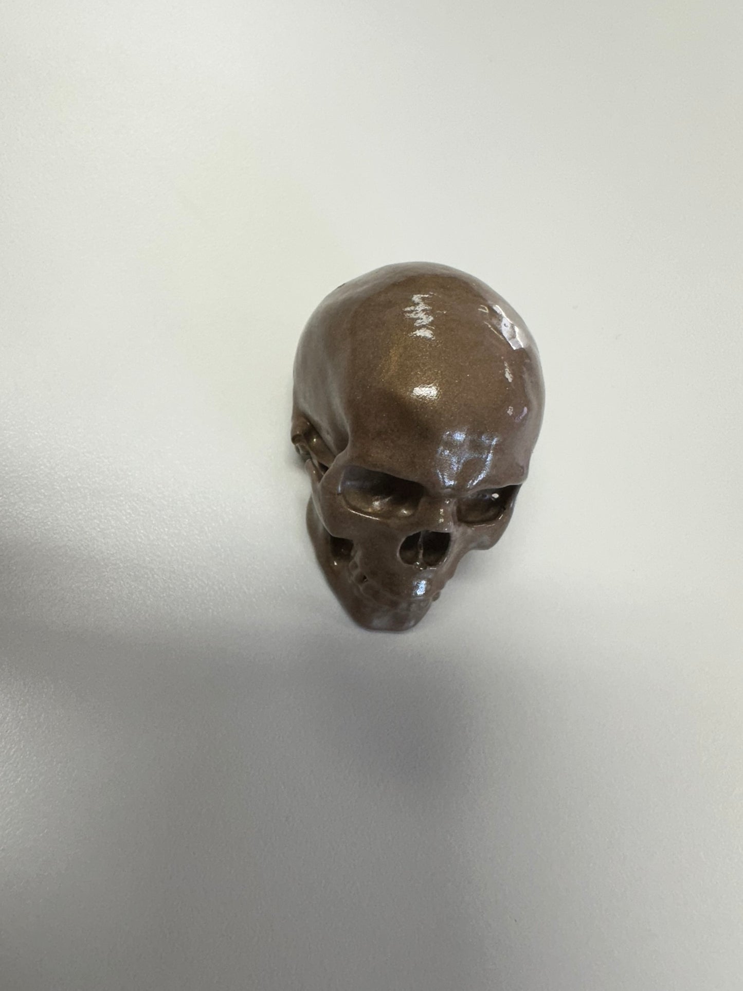 Brown Skull Head