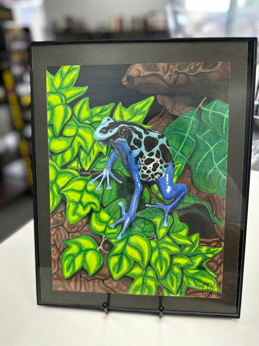 Hand Drawn Realistic Frog from Local Artist