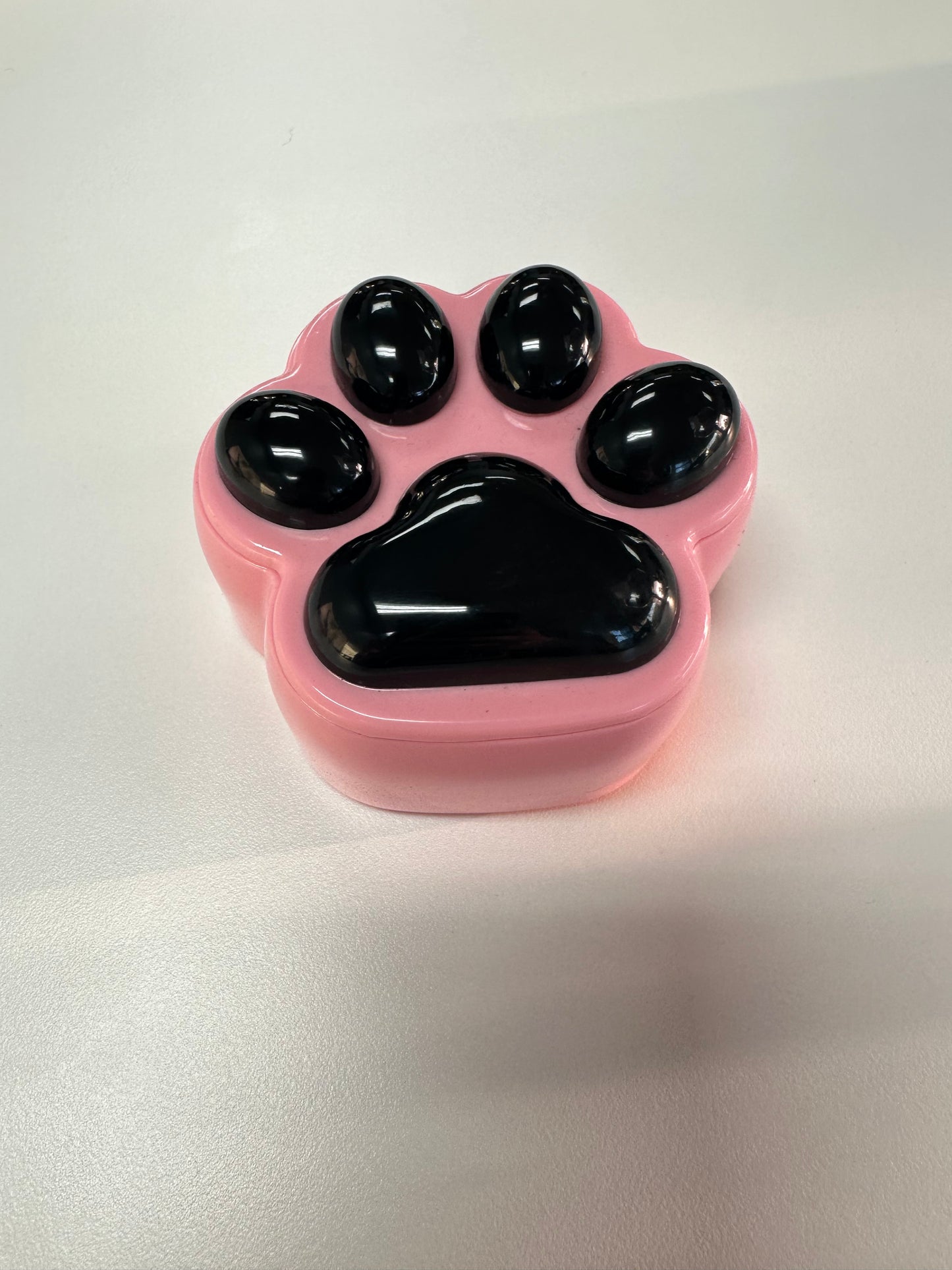 Resin Paw Print Trinket Box